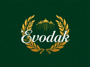 Evodak Rental Apartment: Ankara Balgat`ta Yurtdışından Gelen Hastalar İçin Eşyalı Kiralık Ev Hizmeti